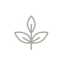 Natural Ingredients icon